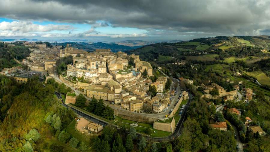 urbino-